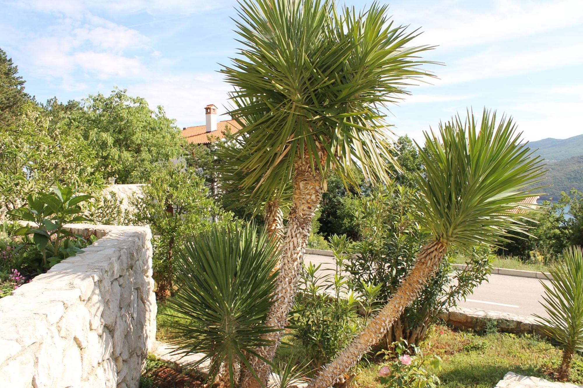 Apartments Vila Marica Rabac Exterior foto